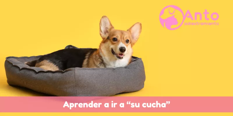 La importancia de saber 