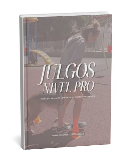Juegos nivel PRO