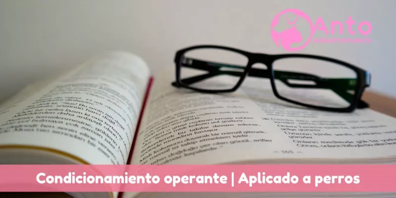 Condicionamiento Operante | Qué es y para que te sirve?