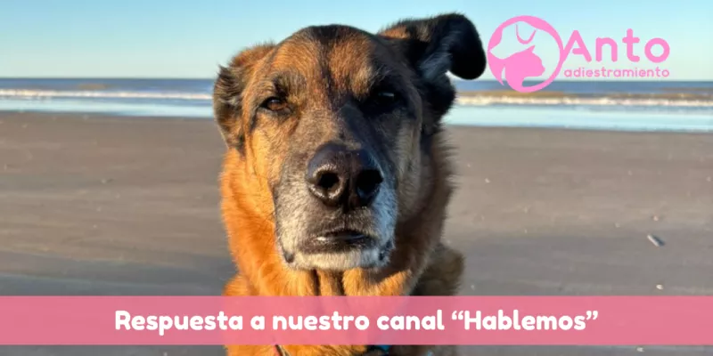 Sugerencias a algunos problemas de comportamiento