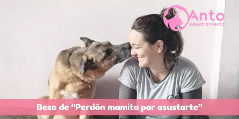 Se perdió mi perro | Un trauma para toda la vida