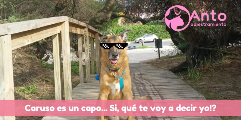 La inteligencia no se hereda, se estimula 