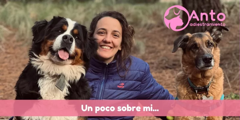 Sobre mi | Curso de Adiestramiento Canino 