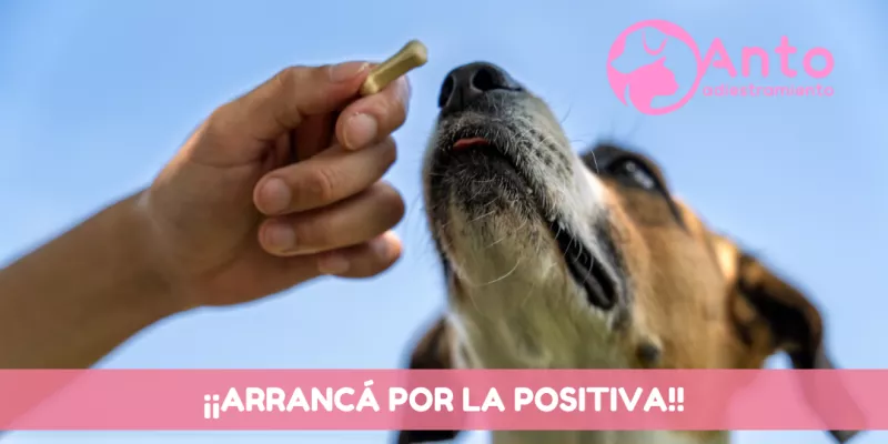 Castigar error vs Reforzar acierto