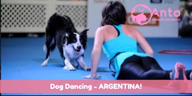 Dog Dancing | Deporte y representación argentina