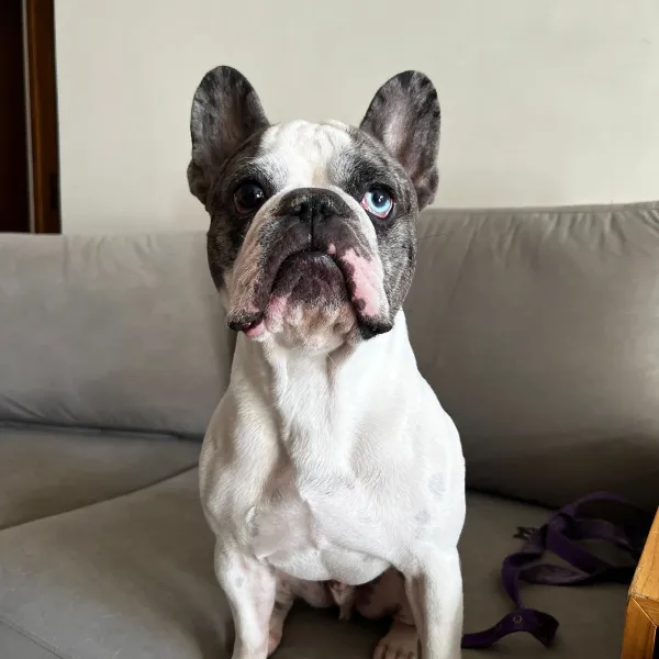 Renato