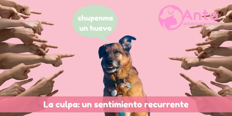 ¿Por qué sentis culpa? ¿Qué podés hacer si sentís culpa?
