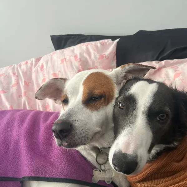 Jopito y Frida
