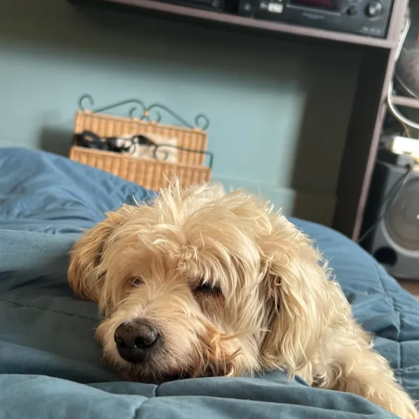 Milo