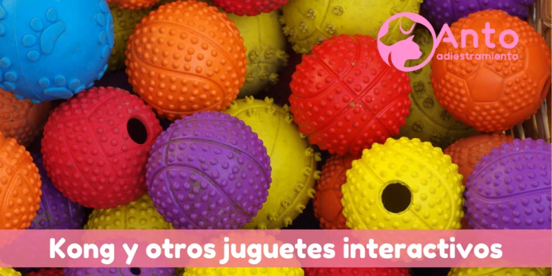 Juguetes interactivos para tu perro